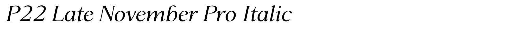 P22 Late November Pro Italic image
